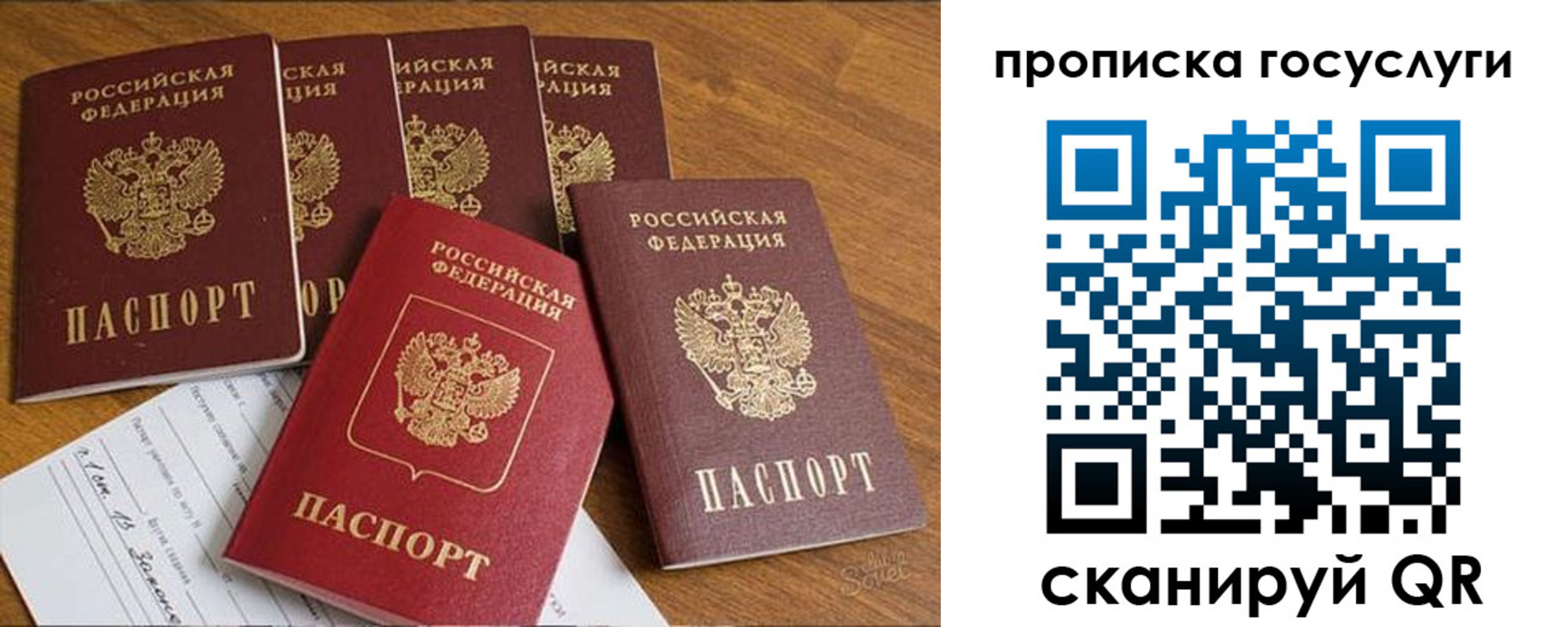 где прописаться в Мончегорске