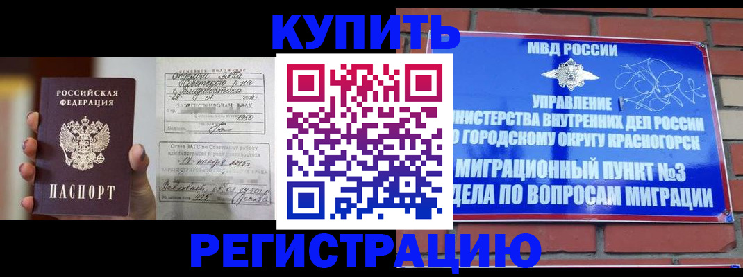 прописка в квартире в Мончегорске